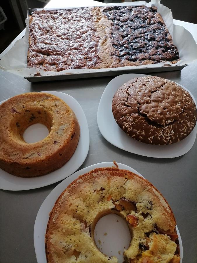 Agriturismo Ballaminut Terzo d' Aquileia 外观 照片