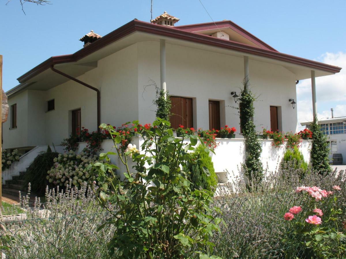 Agriturismo Ballaminut Terzo d' Aquileia 外观 照片