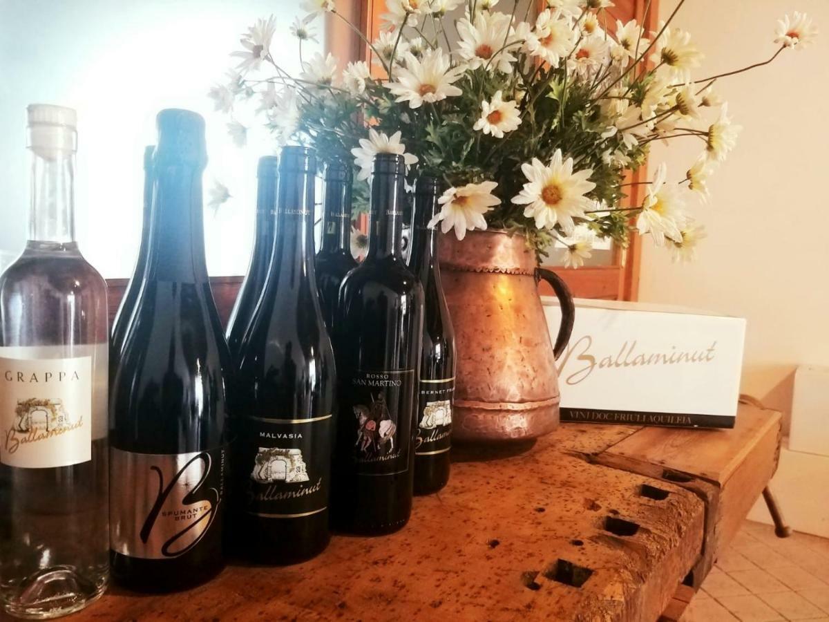 Agriturismo Ballaminut Terzo d' Aquileia 外观 照片