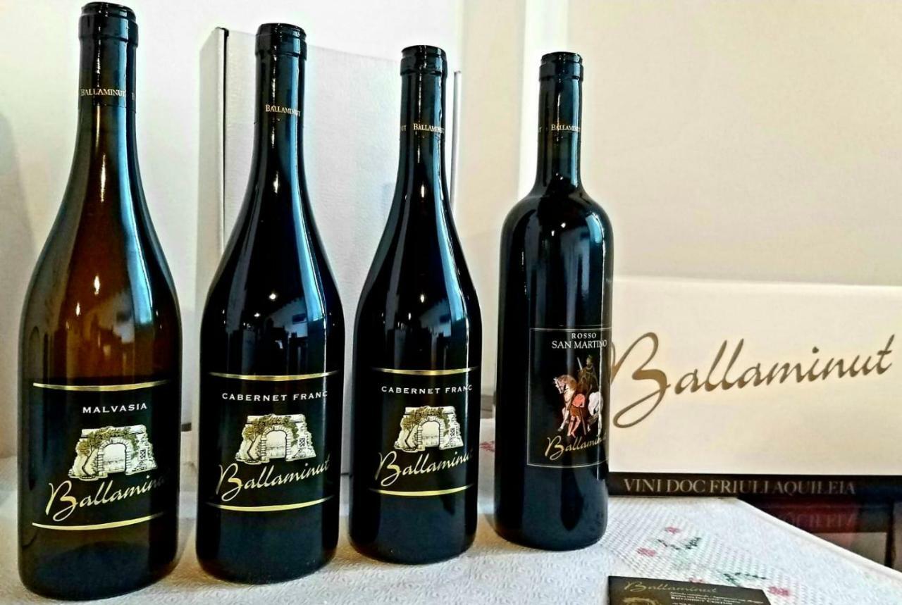 Agriturismo Ballaminut Terzo d' Aquileia 外观 照片
