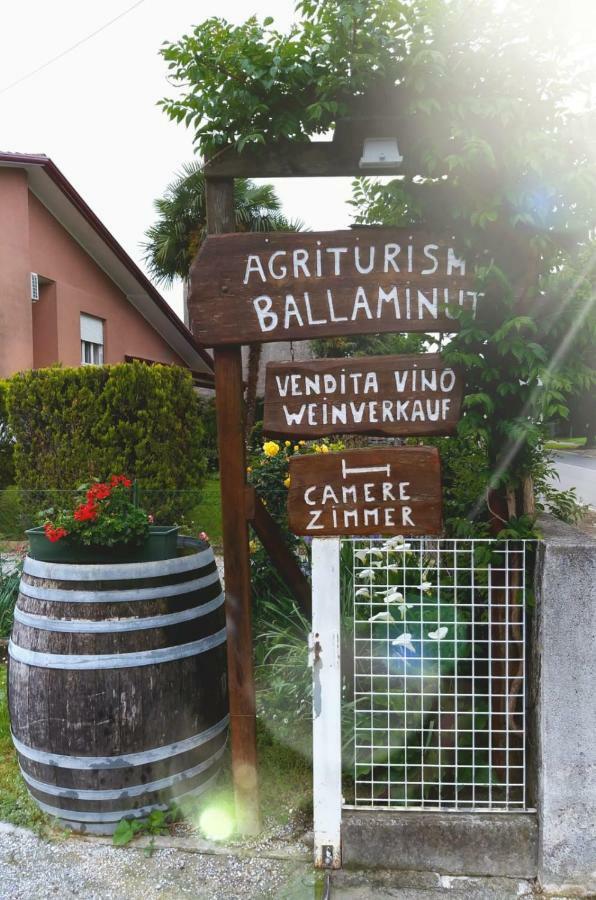 Agriturismo Ballaminut Terzo d' Aquileia 外观 照片